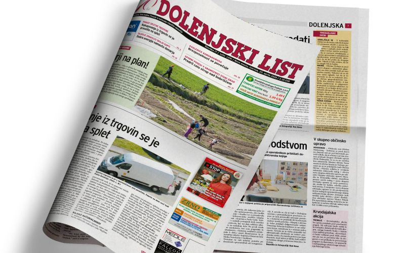 naslovnica_dl20_17.jpg