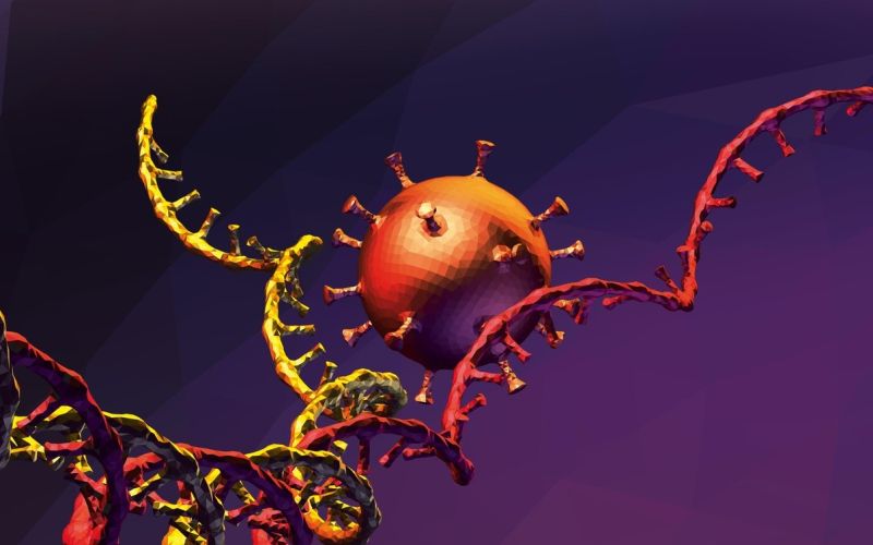 koronavirus