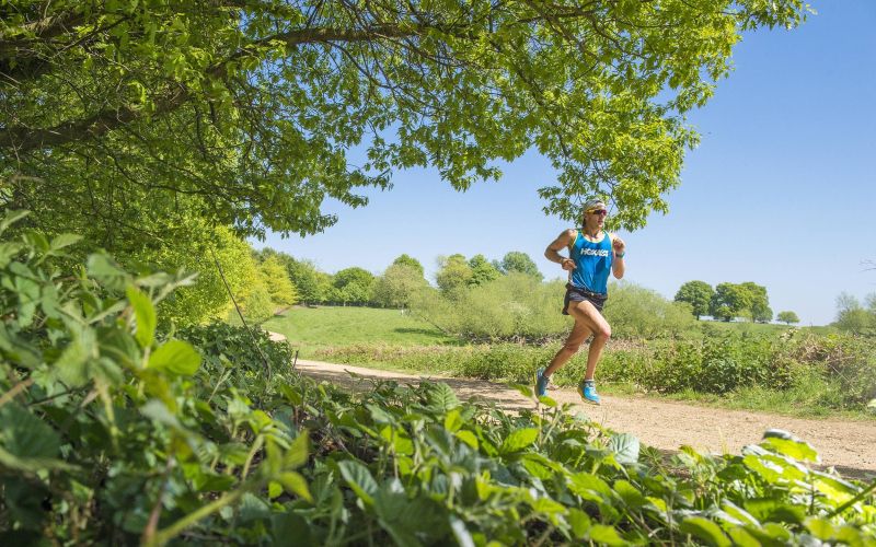 Wings For Life World Run 2020