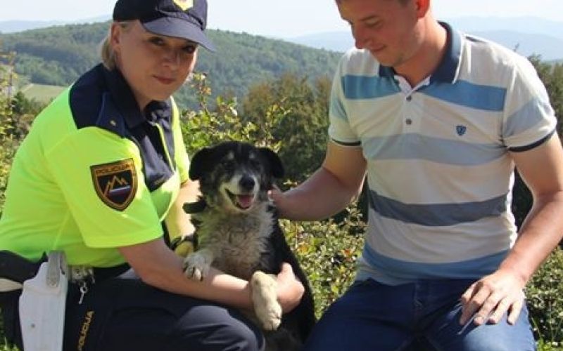 pes, reševanje, policistka, dars