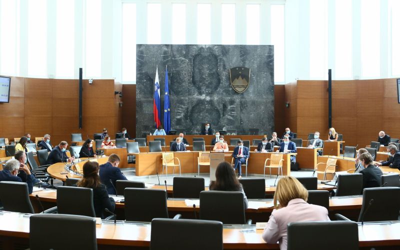 drzavni zbor dz.jpg