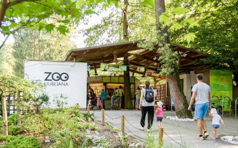 zoo ljubljana.jpg