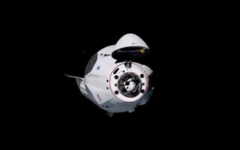 dragon, spacex, kapsula