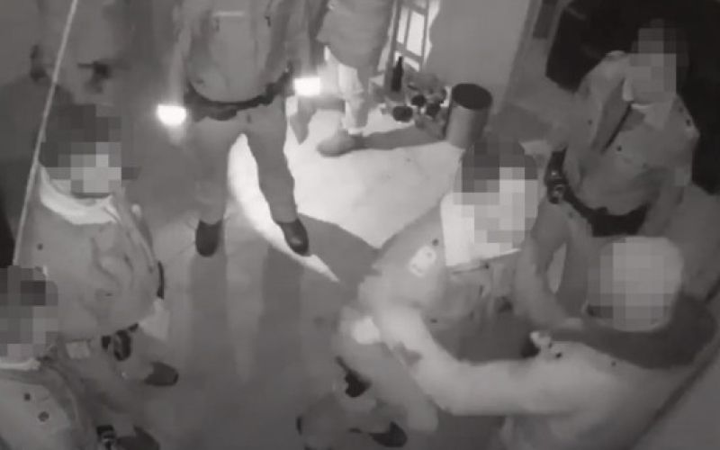 policijsko nasilje, dunajska policija.png