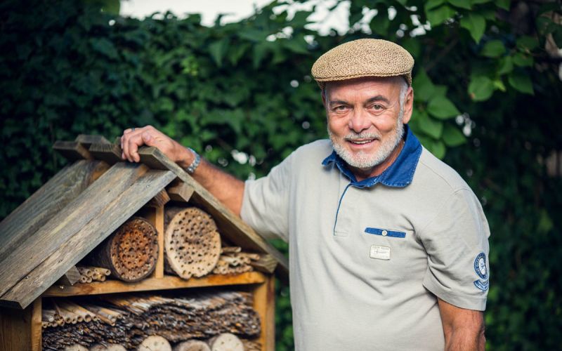 čebele, anton komat