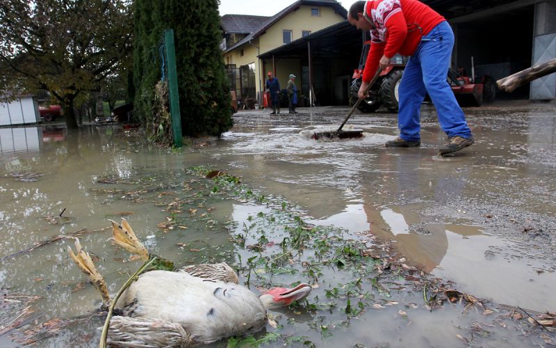poplave3.jpg