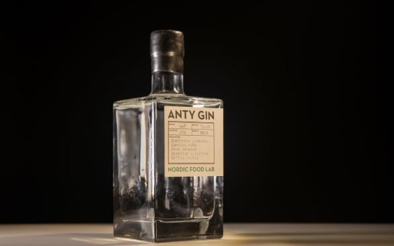 anty-gin-disgusting-food-museum.jpg