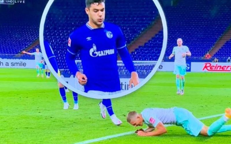 schalke.jpg