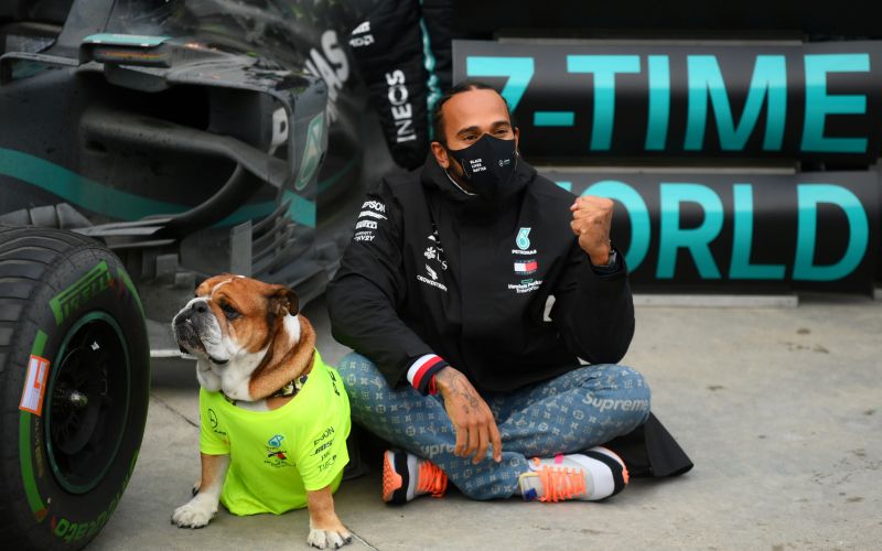 hamilton re.JPG