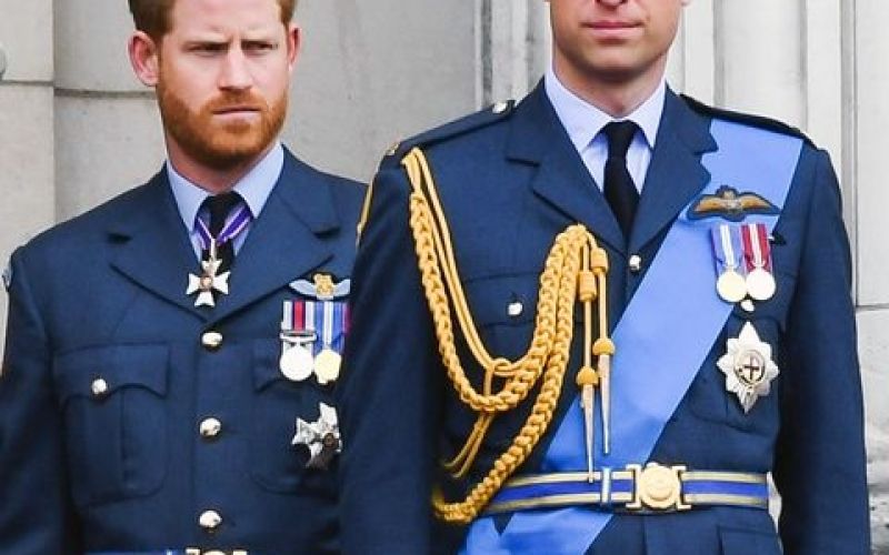 Princa William in Harry.jpg