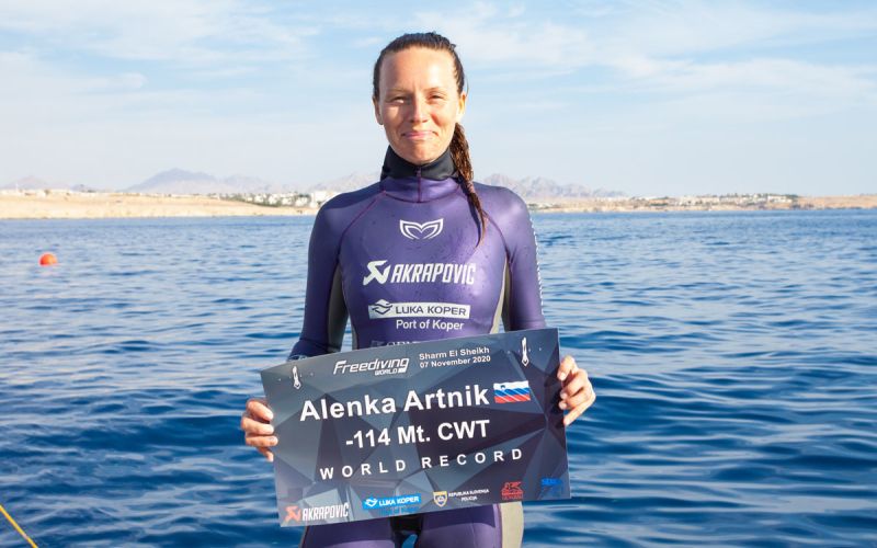 artnik2 Alice Cattaneo4.jpg