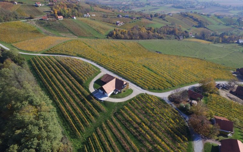 domacija_in_vinogradi__2_.jpg