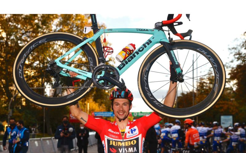 roglic.png