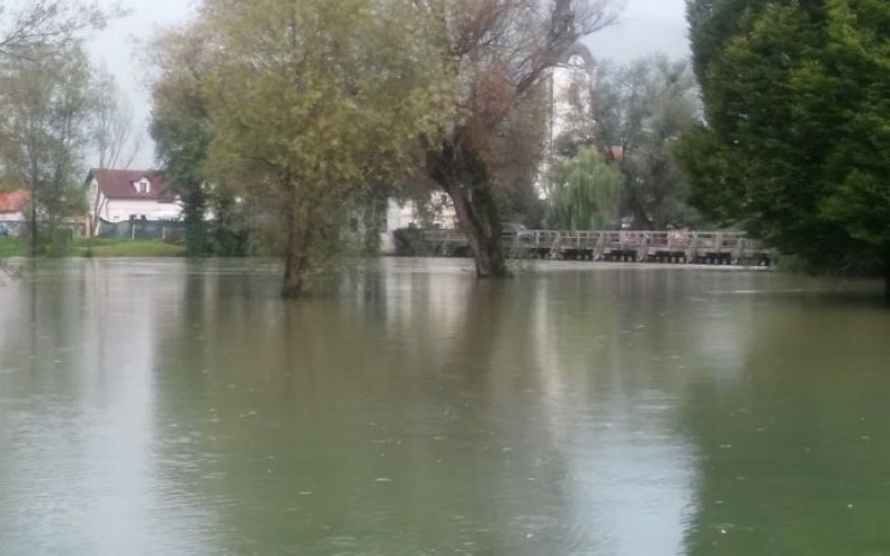 krka_kostanjevica.jpg