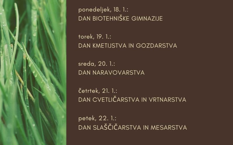 letak.jpg