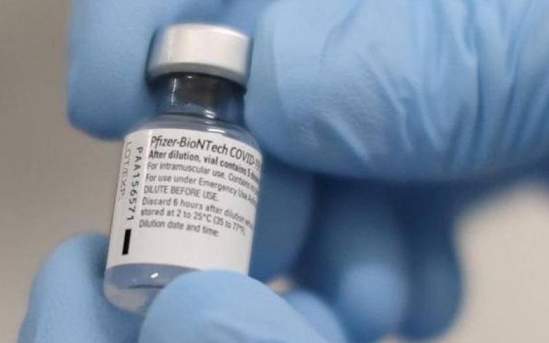 cepljenje_arhiv_dl1.jpg