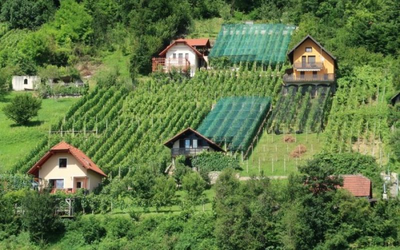 zidanice_foto_mls.jpg