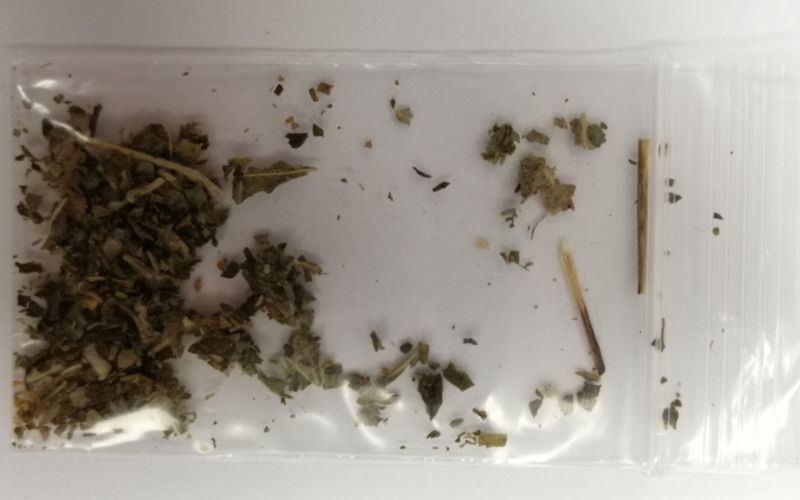 strupena ganja.jpg