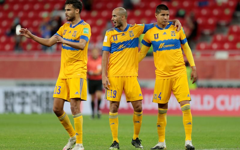 tigres re.JPG