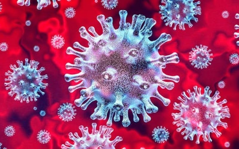 virus sars cov 2.jpg