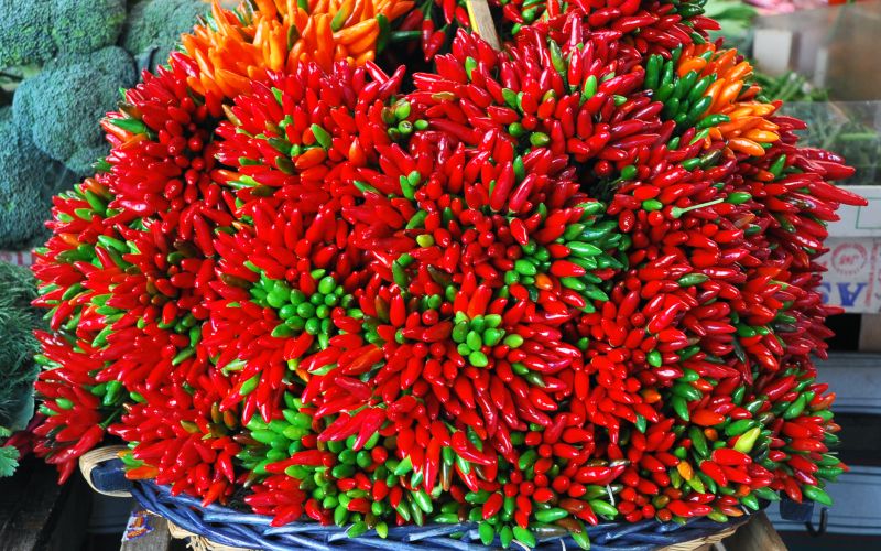 čili paprika .jpg