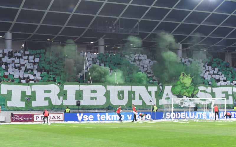 green dragons stozice.jpg