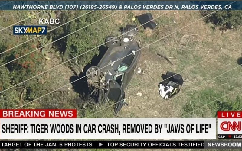 woods.jpg