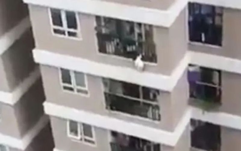 deklica, balkon.jpg