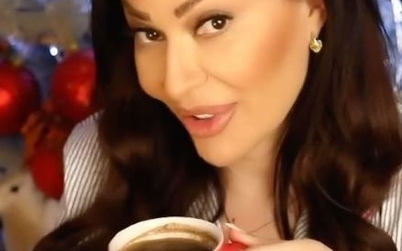 Ceca Ražnatovič.JPG