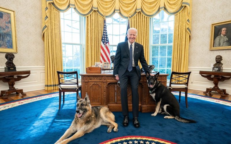 Joe Biden, Champ, Major,