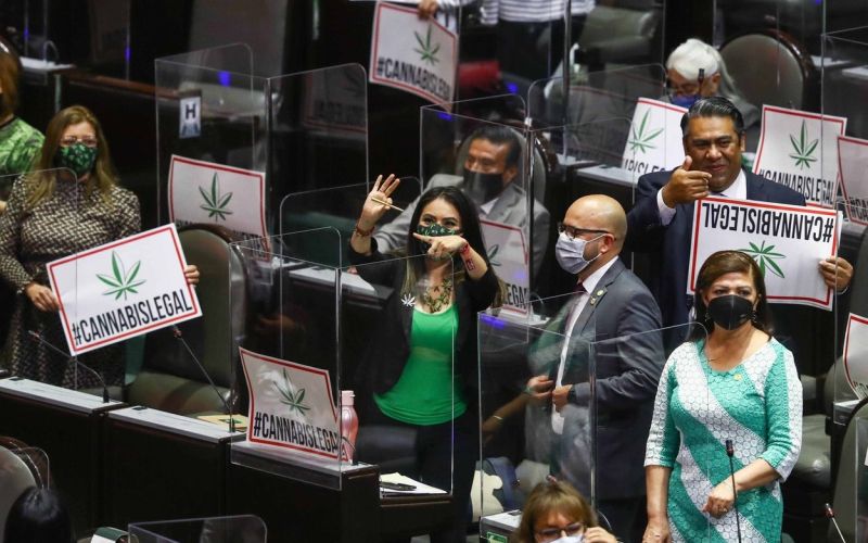 mehika, legalizacija-konoplje