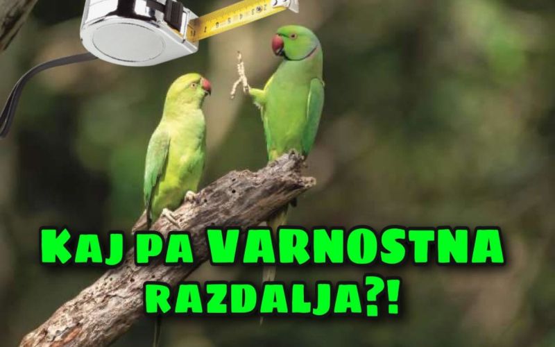 aaaaaaaaaaaaaaaaaaaaaaa.jpg