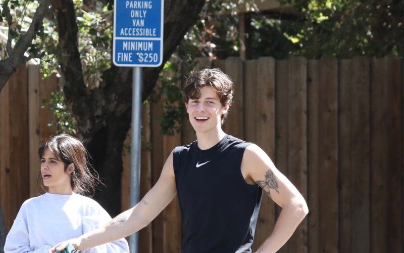 camila-cabello, shawn-mendes