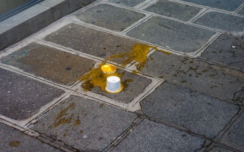 kava, polita, tla.jpg