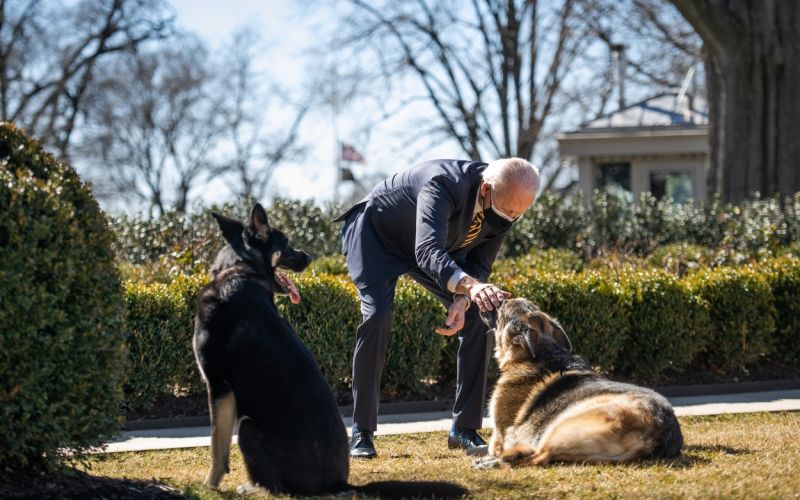 Major, CHamp, Biden