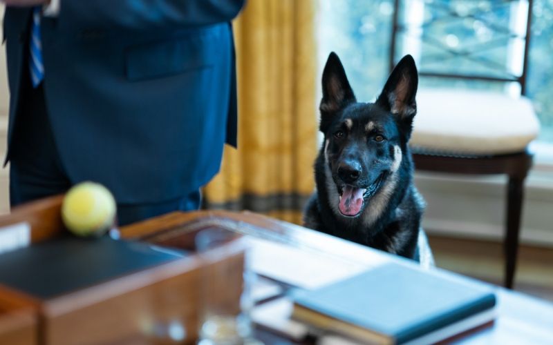 Major Biden