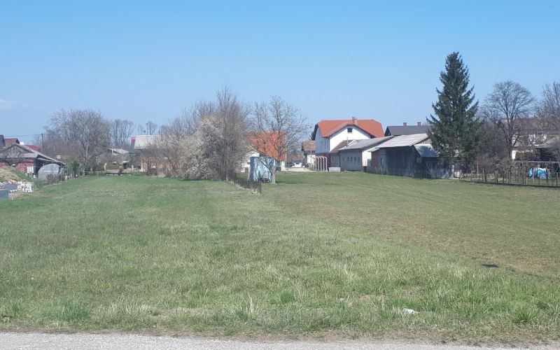 turniscespornaparcela21.jpg