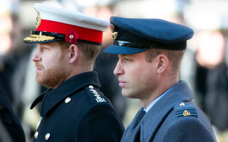 princ harry, princ william (2).jpg