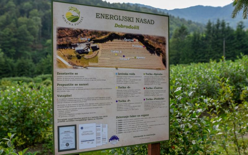 Energijski nasad