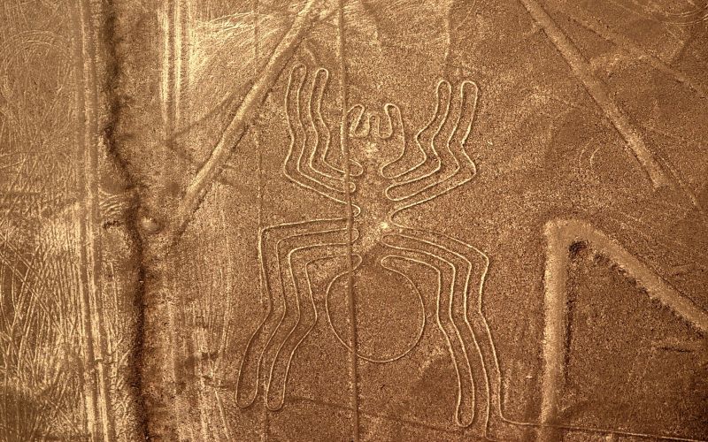 nazca-črte