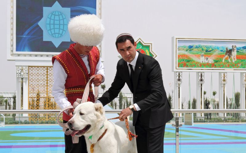 Serdar Berdimuhamedov, srednjeazijski ovčar