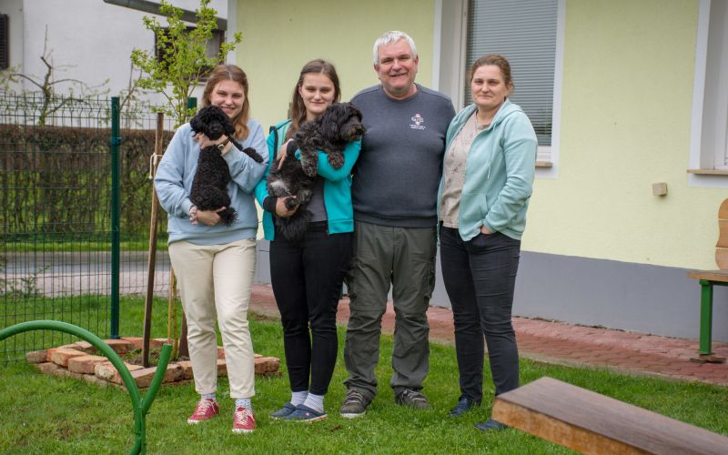 veterinarska-ambulanta-šantl, šantl