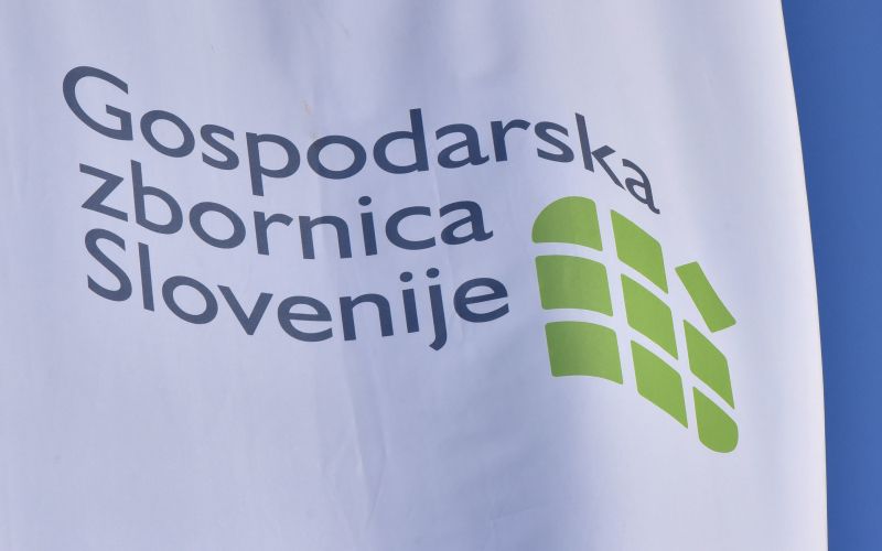 Gospodarska zbornica Slovenije, gzs