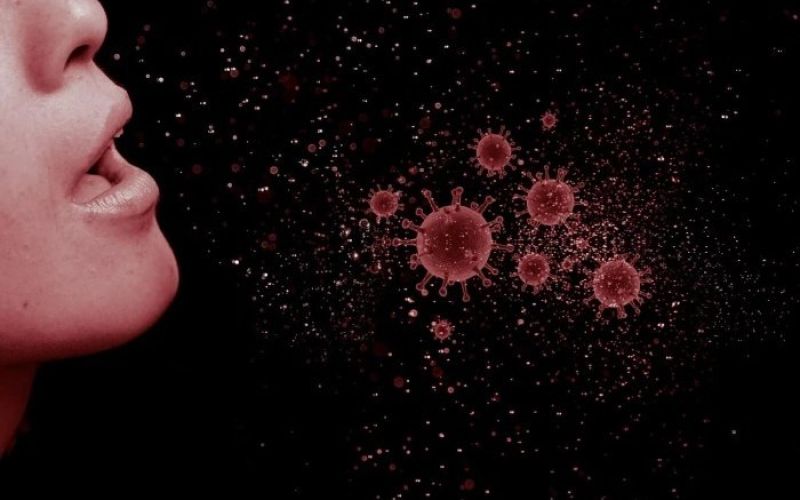 korona_virus.jpg