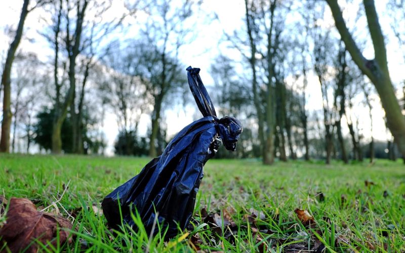 park, plastična vrečka