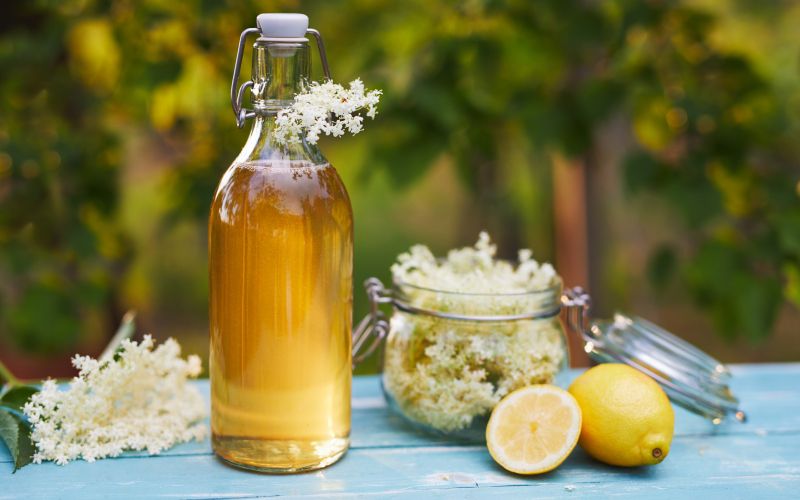 bezgov sirup .jpg