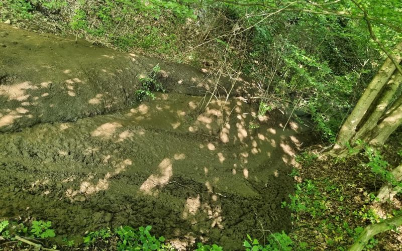 hoče-slivnica, pivola, onesnaženje