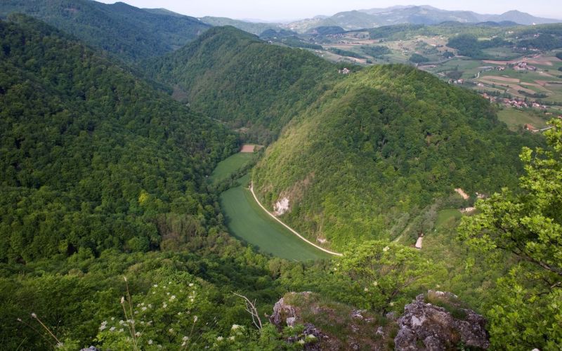 bistrica_ob_sotli__4_.jpg