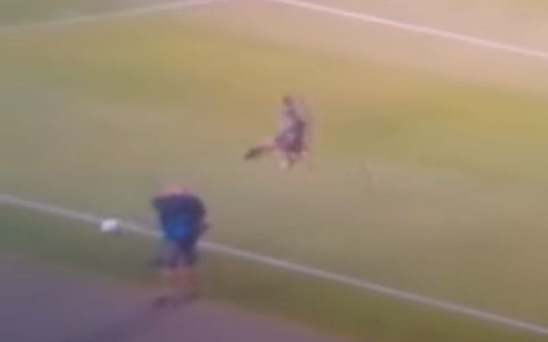 vrsaljko.jpg