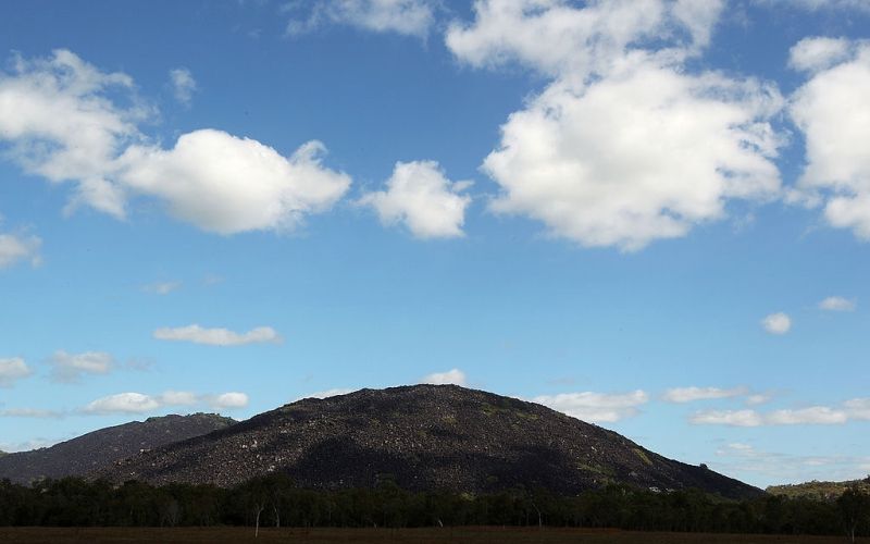 black-mountain, queensland, avstralija